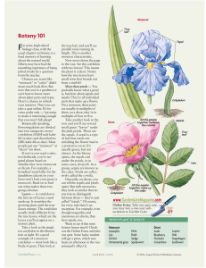 Botany 101 - Garden Gate Magazine