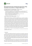 Functional Diversity of Small and Large Trees along Secondary