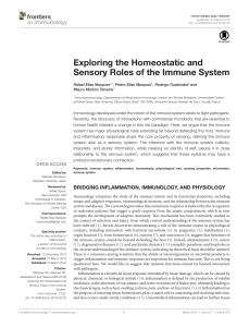 Exploring the Homeostatic and Sensory Roles of the Immune System