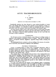 acute tracheo-bronchitis