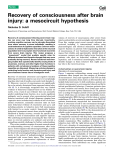 Recovery of consciousness after brain injury: a mesocircuit hypothesis