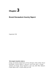 Brunei Darussalam Country Report - Economic Research Institute