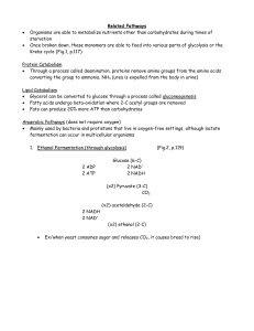 3. Related Pathways