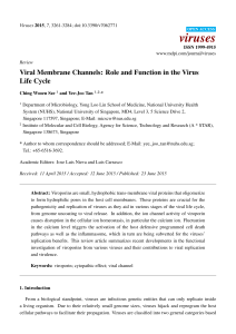 Viral Membrane Channels: Role and Function in the Virus Life Cycle
