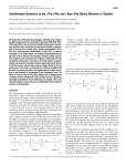 Condensation Dynamics of the L-Pro-L-Phe and