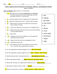 Review Digestion Test PREAP 2014 Key