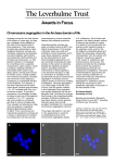 Chromosome segregation in the Archaea domain of life