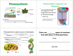 Photosynthetic Organisms Photosynthetic Organisms are are