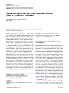 Computational principles underlying recognition