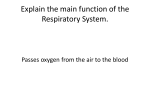 Explain the main function of the Respiratory System.
