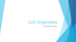 Cell Organelles - Cabarrus County Schools