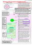 Mechanism of RNA Virus Replication - Rubella