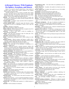 Arthropod Glossary With Emphasis On Spiders, Scorpions, and Insects