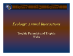 Ecology: Animal Interactions