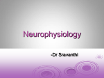 Neurophysiology,Dr Sravanti