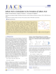Sulfuric Acid as Autocatalyst in the Formation of Sulfuric Acid