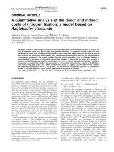 A quantitative analysis of the direct and indirect costs of nitrogen