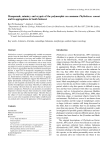 Masquerade, mimicry and crypsis of the polymorphic sea anemone