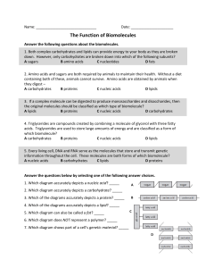 Function of Biomolecules Worksheet