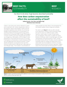 How Does Carbon Sequestration Affect the