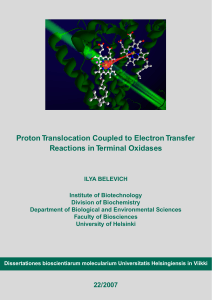 Proton Translocation Coupled to Electron Transfer Reactions in