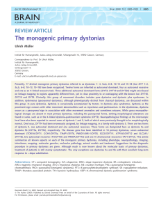 The monogenic primary dystonias