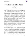 Seedless Vascular Plants