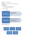 Prokaryotic Eukaryotic