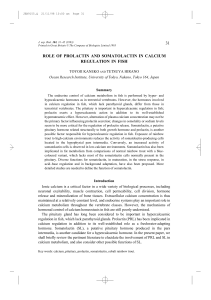 31 role of prolactin and somatolactin in calcium regulation in fish