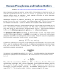 Human Phosphorus and Carbon Buffers