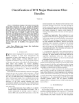 Classification of DTI Major Brainstem Fiber Bundles