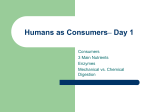 Humans as Consumers– Day 1
