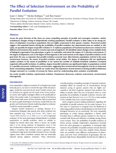 Article The Effect of Selection Environment on the