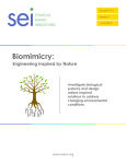 Biomimicry - Strategic Energy Innovations.
