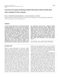 A leucine-rich repeat containing receptor-like kinase