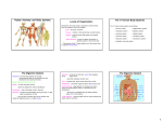 Human Anatomy and Body Systems Levels of Organization The 11