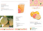 Brochure Grape fruit