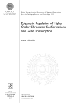 Epigenetic Regulation of Higher Order Chromatin