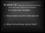 IN YOUR OWN WORDS… 1. WHAT DOES ADAPTATION MEAN? 2