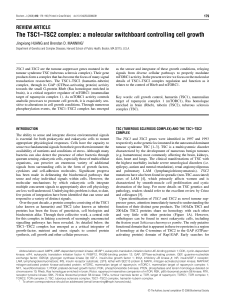 The TSC1–TSC2 complex: a molecular switchboard controlling cell