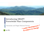 Nantahala and Pisgah Forest Plan