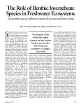 The Role of Benthic Invertebrate Species in Freshwater Ecosystems
