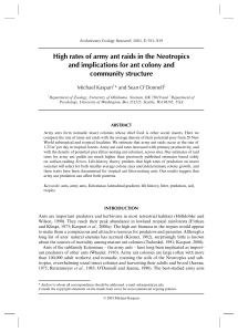 High rates of army ant raids in the Neotropics and implications for