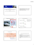 View Presentation Document