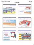 The Cell Membrane