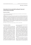 Review articles Interactions between potentially pathogenic fungi