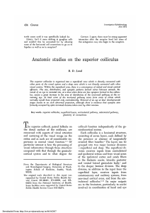 Anatomic Studies on the Superior Colliculus