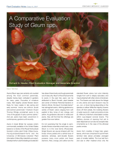 A Comparative Evaluation Study of Geum spp.