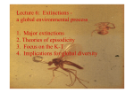 7. Extinctions