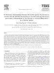 Evolutionary relationships between the former species